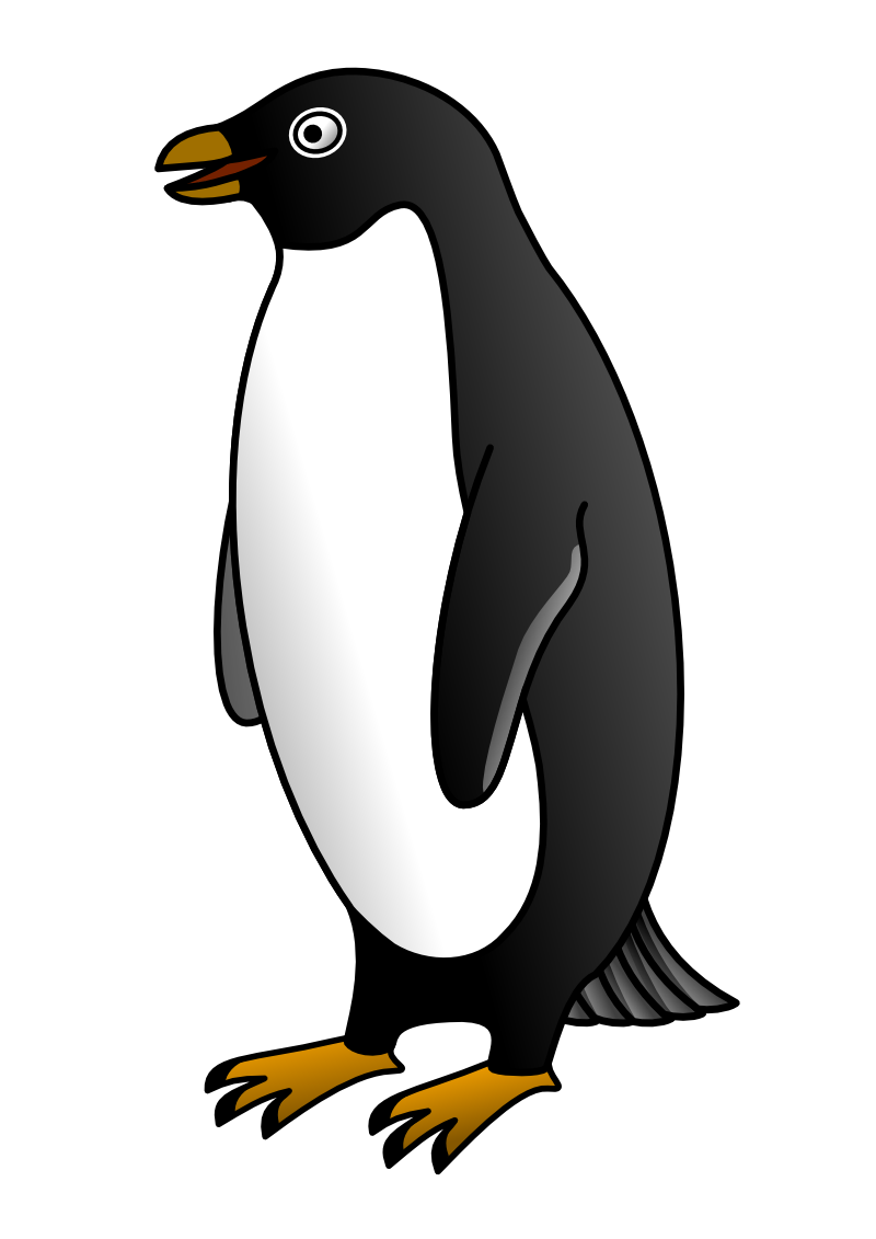 Penguin Transparent PNG Image