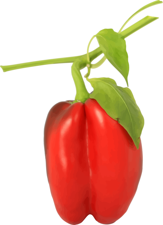 Pepper Leaves Red Bell Free PNG HQ PNG Image