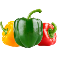 Capsicum Pepper Bell PNG Image High Quality PNG