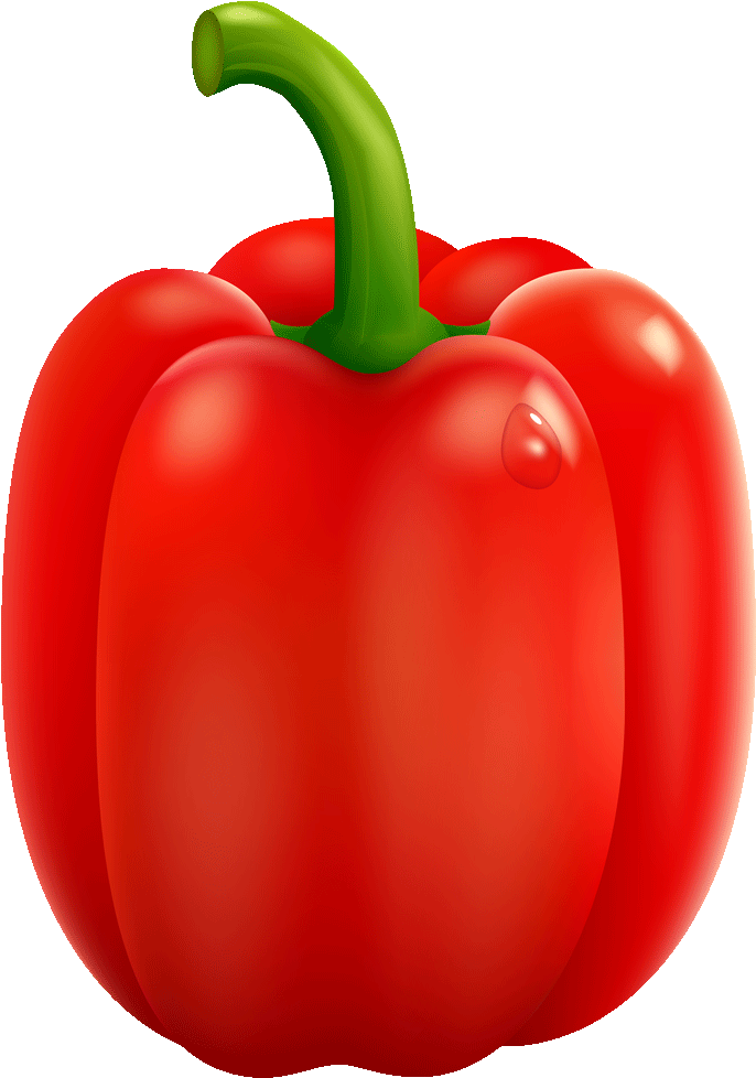 Capsicum Pepper Vector Red Bell PNG Image
