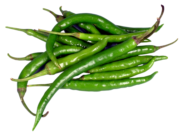 Fresh Chili Pic Green Pepper PNG Image