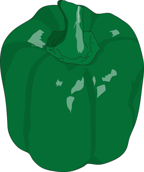 Pepper Vector Green Bell HQ Image Free PNG Image