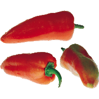 Pepper Png Image Transparent PNG Image