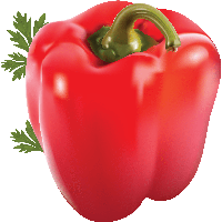 Pepper Png Image