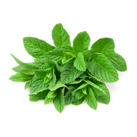 Pepermint PNG