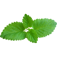 Pepermint PNG