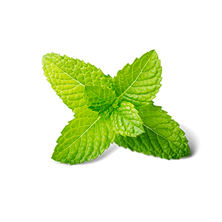 Pepermint Transparent PNG Image