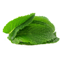 Mint PNG