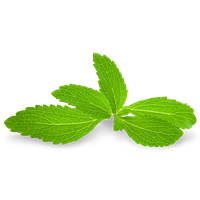 Pepermint PNG