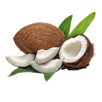 Water Coconut Oil Milk Meat Download HD PNG Transparent PNG Image