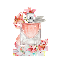 Download Perfume Free PNG photo images and clipart | FreePNGImg