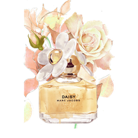 Bottle Perfume Free HD Image