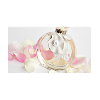 Christian Parfum De Perfume Dior Spa Eau