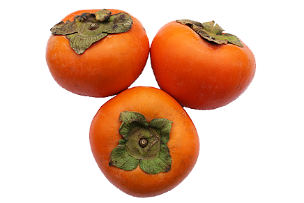 Persimmon Png Clipart PNG Image