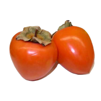 Persimmon Transparent Transparent HQ PNG Download | FreePNGImg