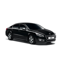 Peugeot PNG