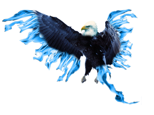 Blue Phoenix Transparent PNG Image