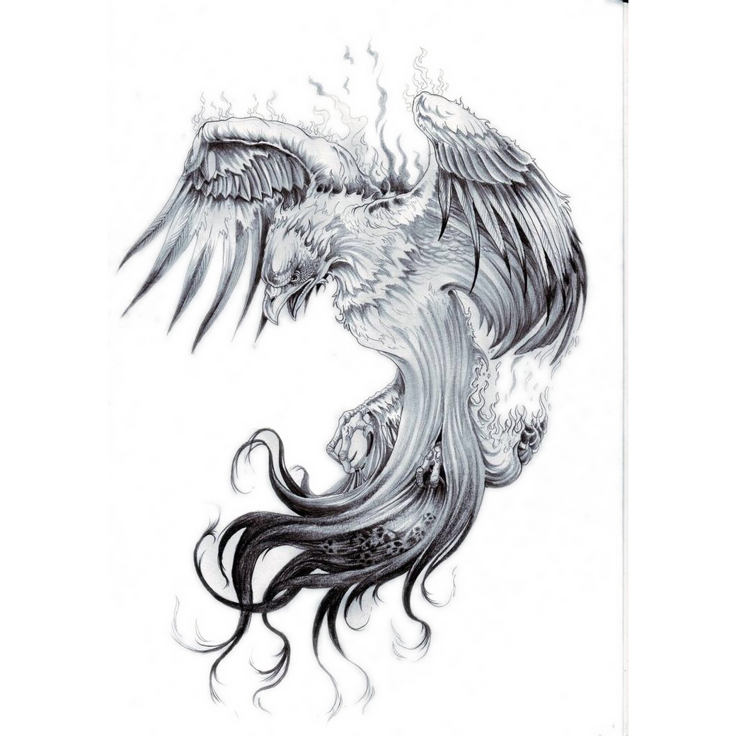 Tattoo Star Sleeve Phoenix Nautical Free Frame PNG Image