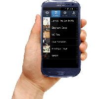 Phone in hand PNG