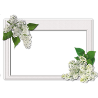 Picture photo frame PNG