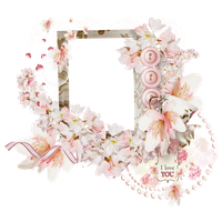 Pink Picture Frame Flower Photography Free PNG HQ PNG