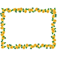 Flower Tokyo Photography Edogawa, Yellow Border PNG
