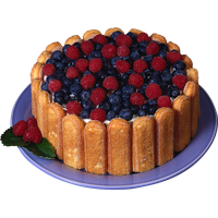 Pie PNG
