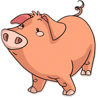 Pig Transparent Background