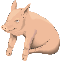 Picture Pig Png Image PNG Image