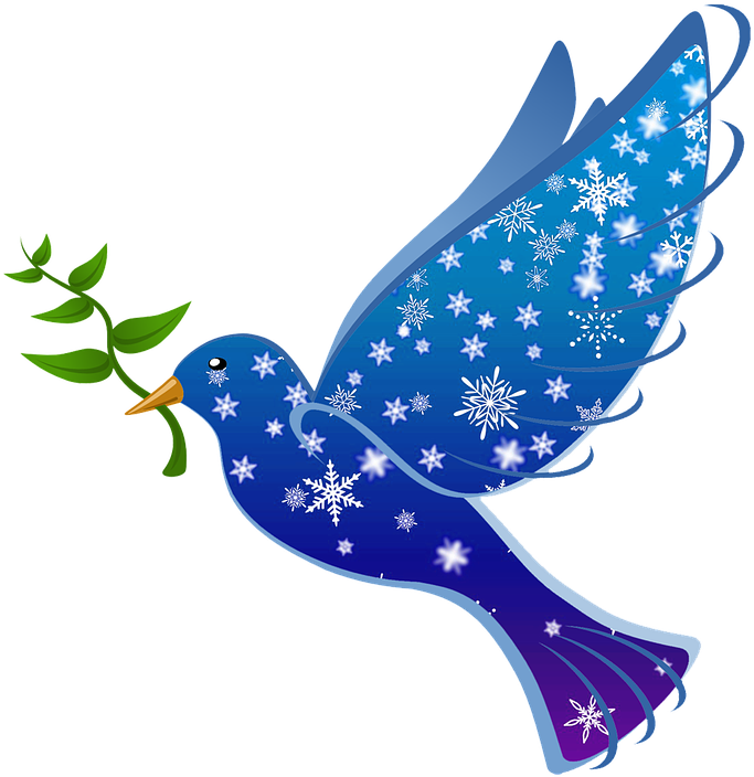Pic Peace Pigeon Free Download PNG HQ PNG Image