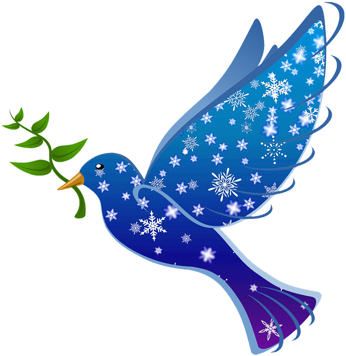 Pic Peace Pigeon Free Download PNG HQ Transparent PNG Image