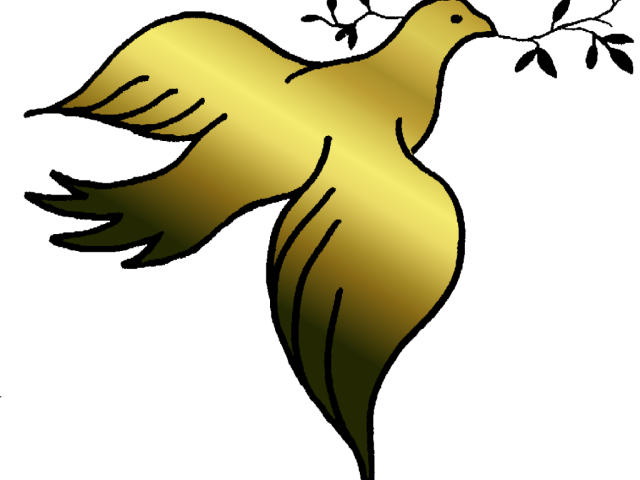 Vector Pigeon Peace Free HQ Image PNG Image