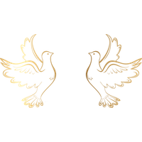 Love Pigeon Wedding PNG Free Photo PNG