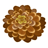 Pine cone PNG