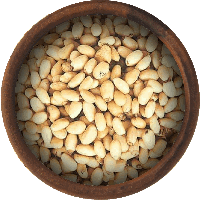 Pine nuts PNG