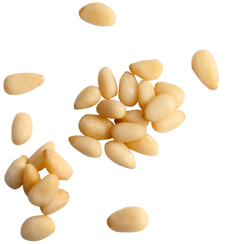 Pine nuts Transparent PNG Image