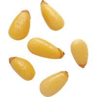 Pine nuts PNG