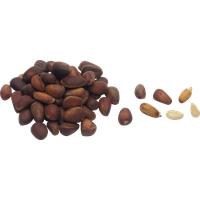 Pine nuts