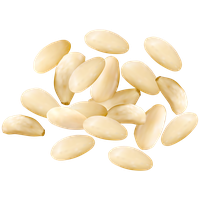 Pine nuts PNG
