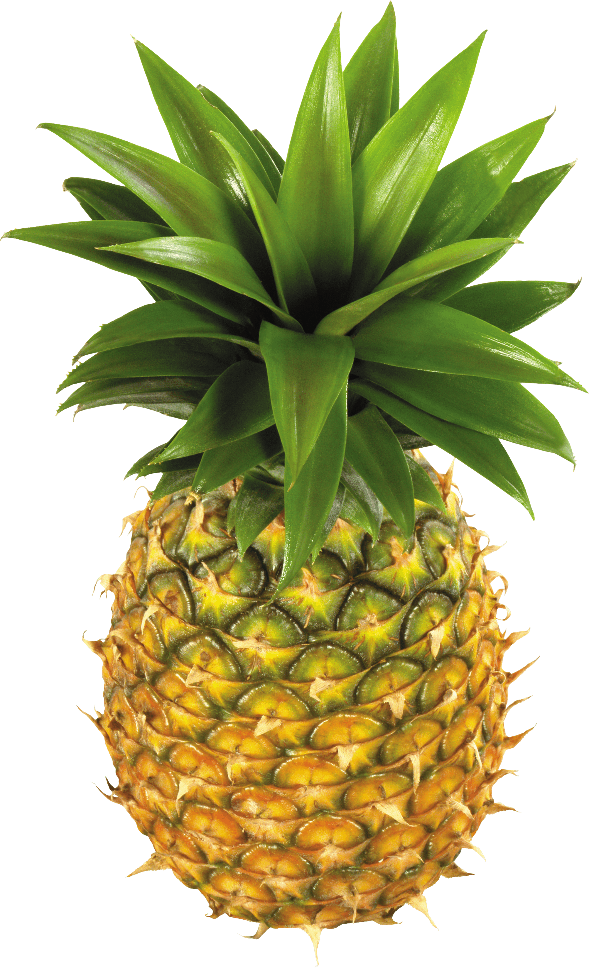 Download Pineapple Fruit Png Image HQ PNG Image | FreePNGImg