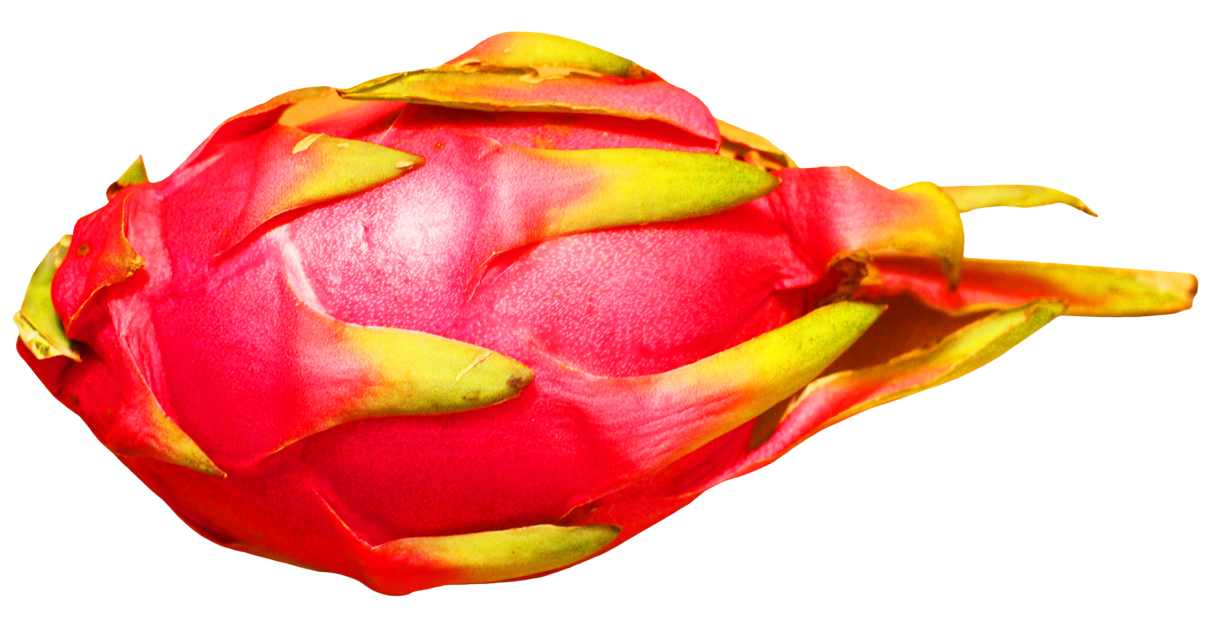 Pitaya Transparent PNG Image
