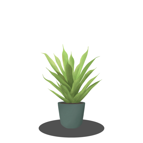 Vera Potted Aloe Download HQ PNG Image