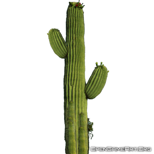 Download Transparent Cactus Plant HQ PNG Image | FreePNGImg