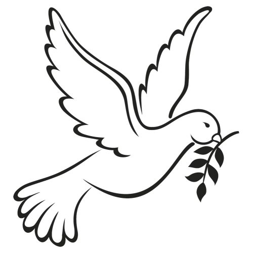 Download Columbidae Peace Symbols As Beak White Doves Hq Png Image Freepngimg