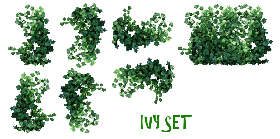 Plants Download Png Transparent PNG Image