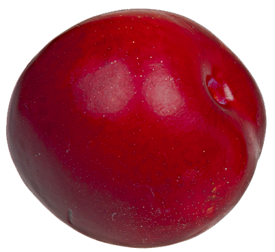 Plum Png Picture PNG Image