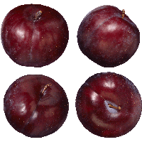 download plum free png photo images and clipart freepngimg plum free png photo images and clipart