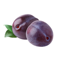 Plum