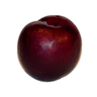 Plum Transparent Background