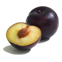 Plum Transparent
